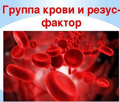 Группа крови и резус